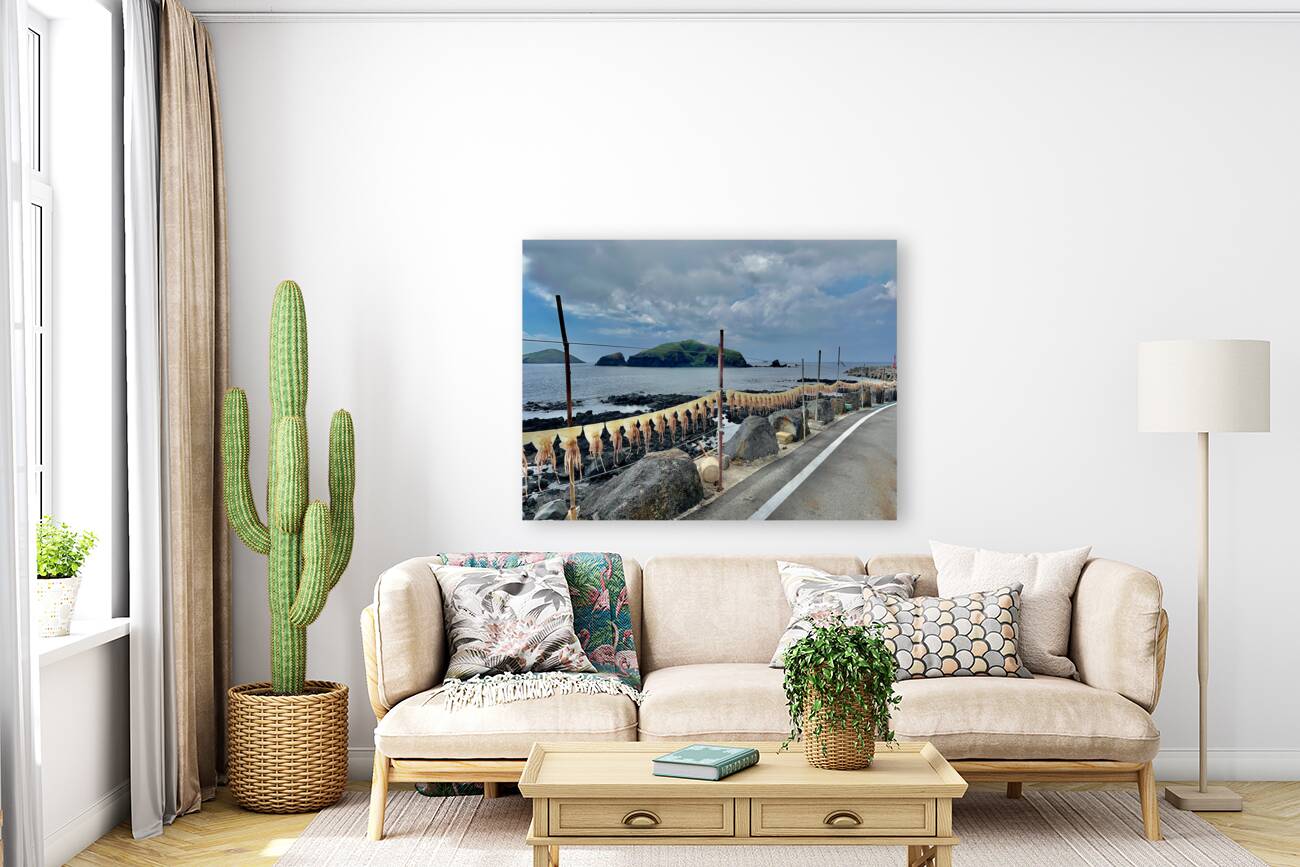 Squids on the Line Jeju South Korea Reproduction