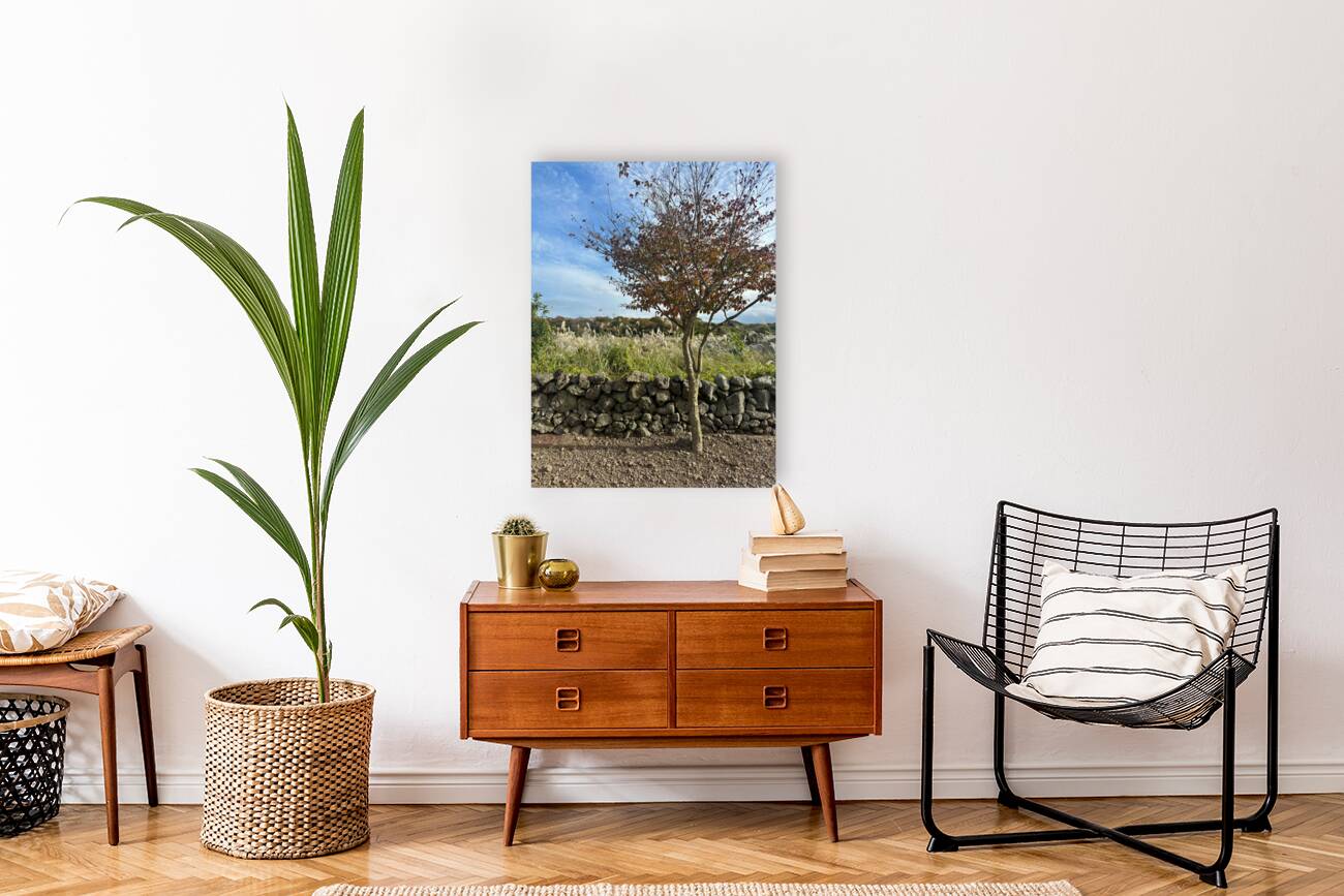 Stone Park Jeju South Korea 6 Reproduction