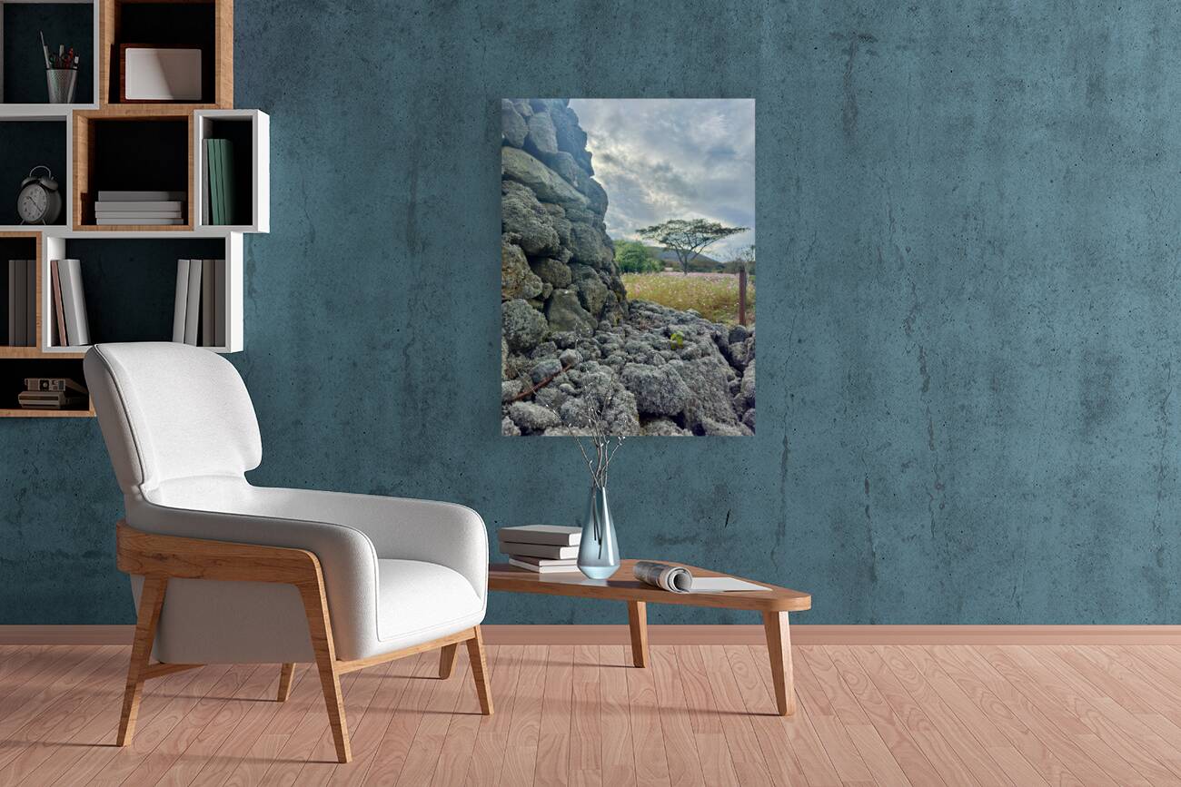 Stone Park Jeju South Korea 7 Reproduction