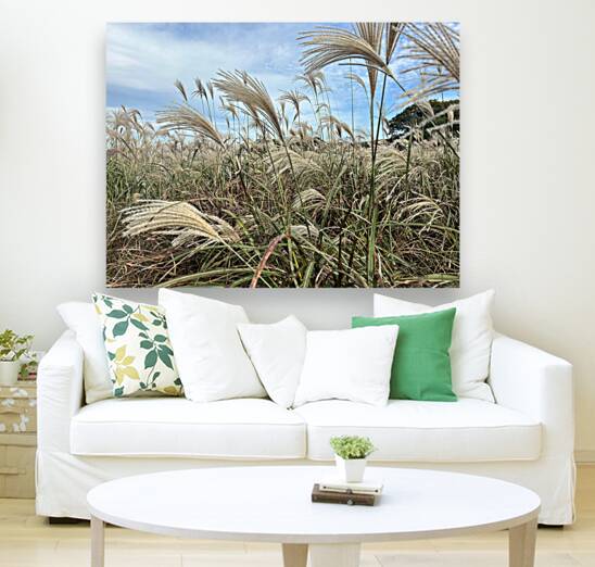 Stone Park Jeju South Korea 1 Reproduction