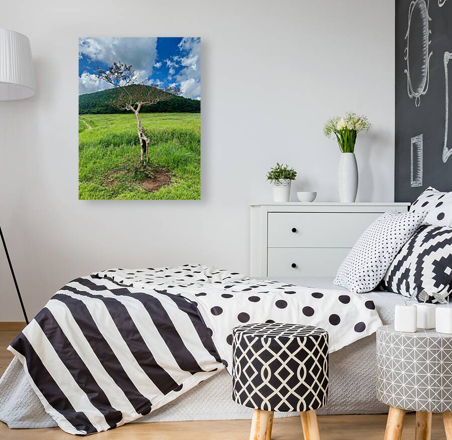 The Tree Jeju South Korea Reproduction