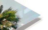 Palm Trees by the Beach HD Metal print