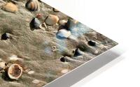 Seashells in the Sand Impression metal HD