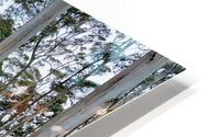 White Trees HD Metal print