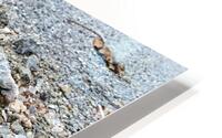 Rocky road HD Metal print