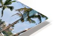 Coconut Hill HD Metal print
