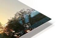 Perfect Tree Reflection During Sunset HD Metal print
