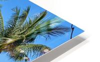 L Shaped Palm Trees Beach 2 HD Metal print