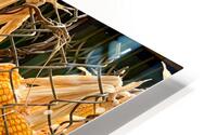 Corn Hanging on the Fence HD Metal print