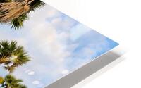 Palm Trees on the Hills HD Metal print