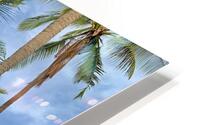L Palm Tree HD Metal print
