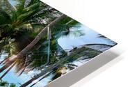Palm Tree Road HD Metal print