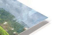Tea Plantation Hills HD Metal print