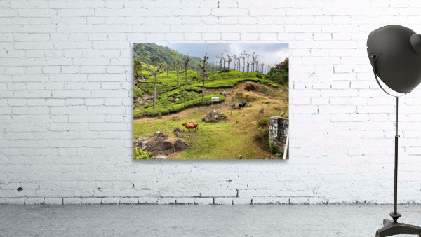 Toy Train Tea Plantations Wall Preview