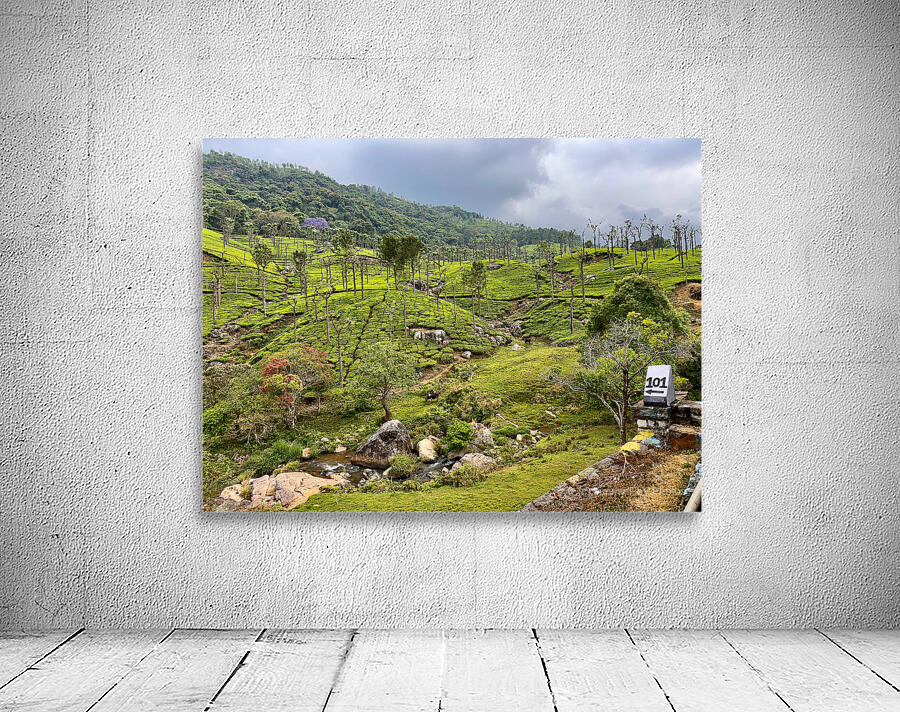 101 Tea Plantations Wall Preview