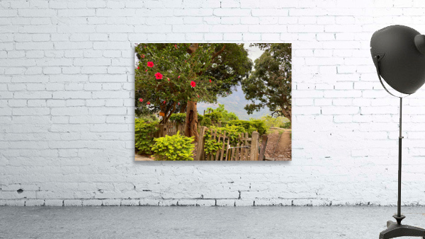 Red Flowers Gate Wall Preview