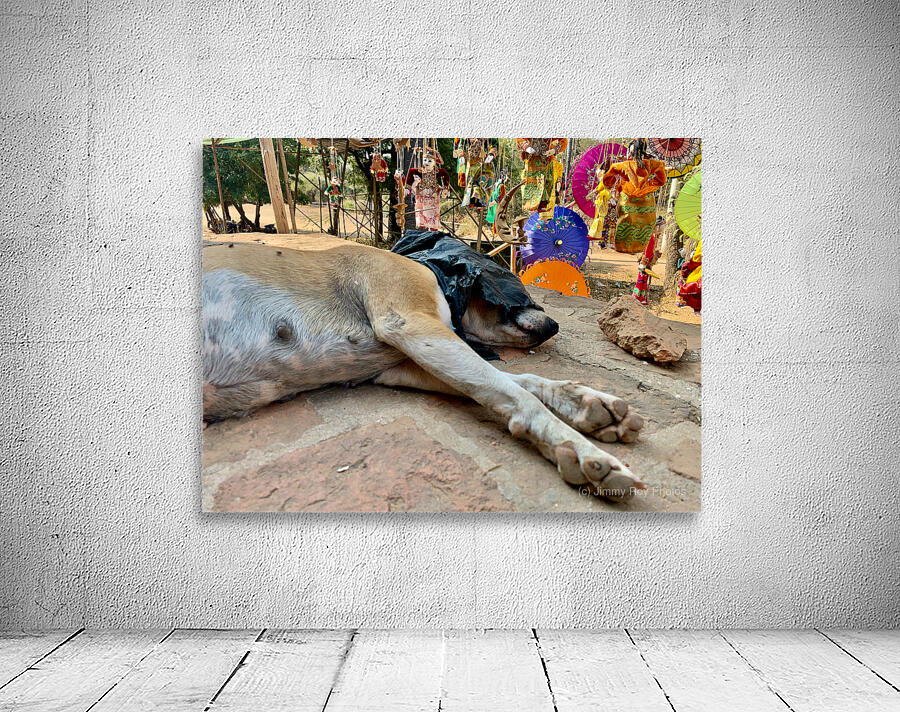 Doggie Afternoon Nap Wall Preview