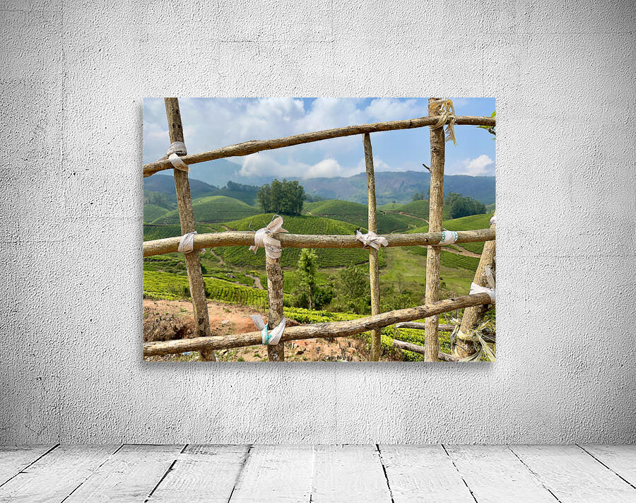 Peak a Tree Wall Preview