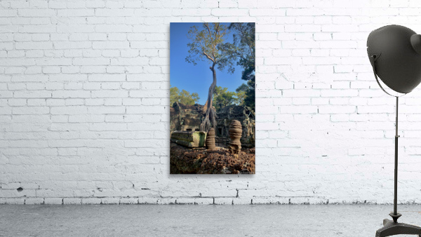 Temple Tree 2 Wall Preview