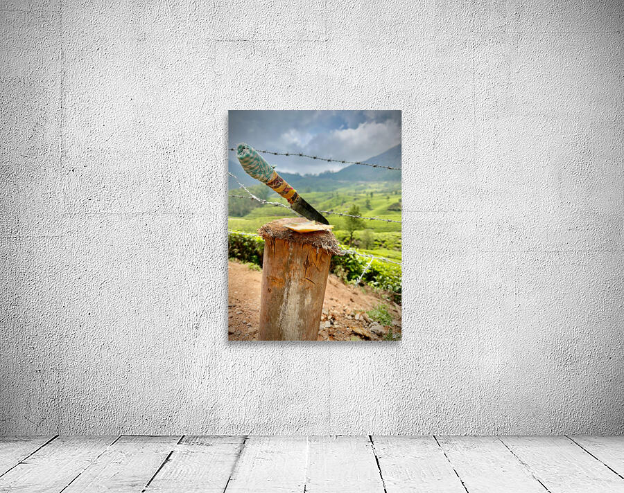 Coconut Knife 2 Wall Preview