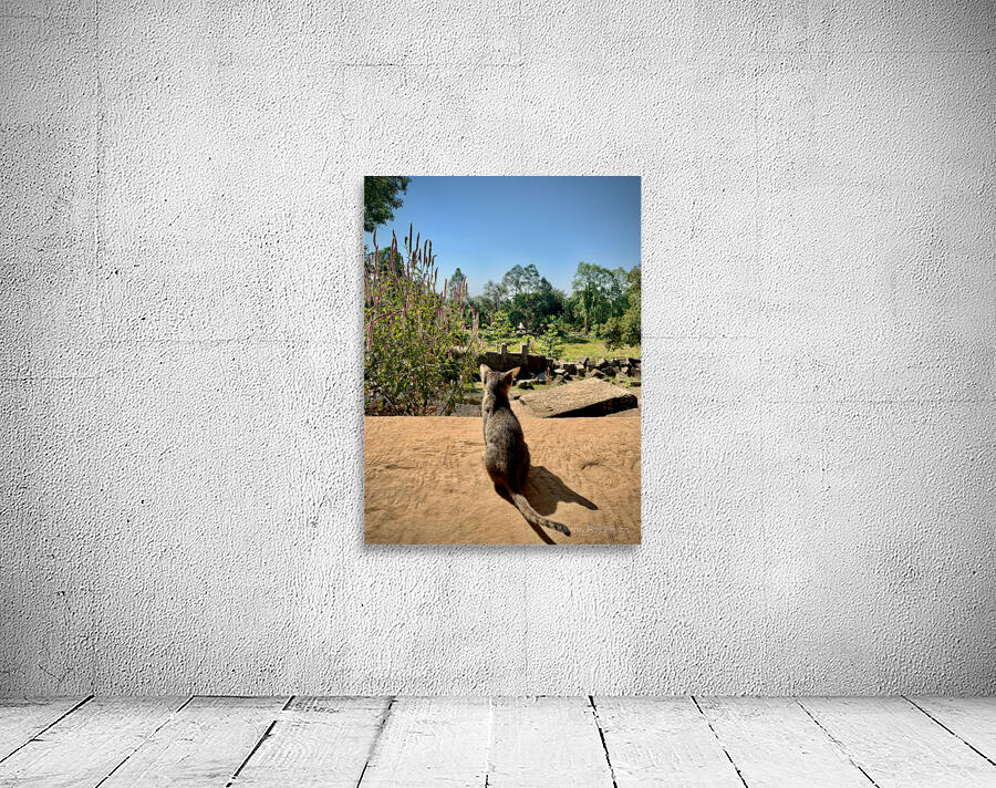 Kitty Overlooking the Garden Wall Preview
