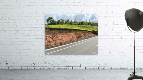 Tea by the Road Wall Preview