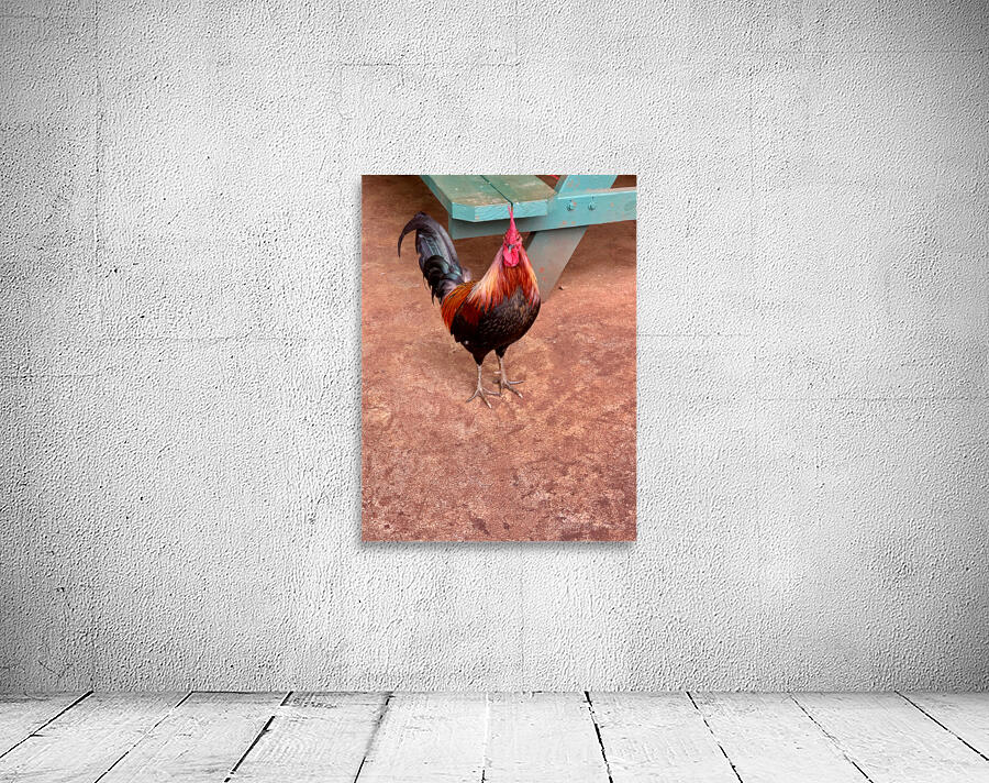 Rooster by the Table Wall Preview
