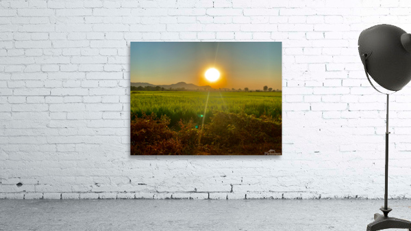 Sunset Over the Field Wall Preview