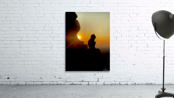 Enlightened Monkey at Sunset Wall Preview