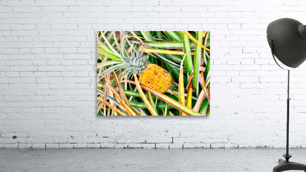 Pineapple Growing Wall Preview