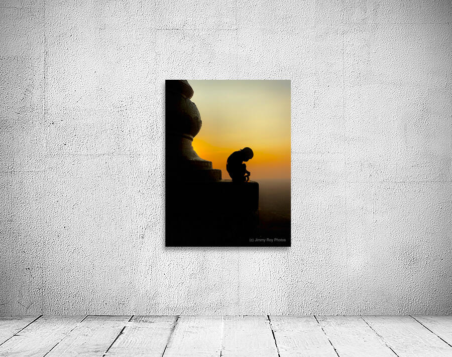 Meditative Monkey at Sunset Wall Preview