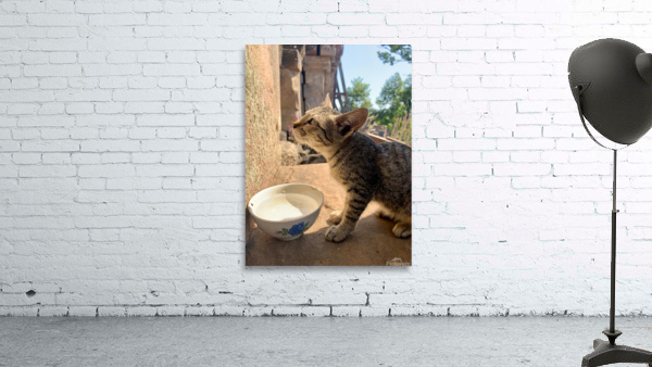 Cat Dreaming of the Future Wall Preview