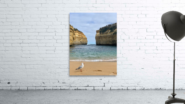 Bird on the Beach 2 Wall Preview