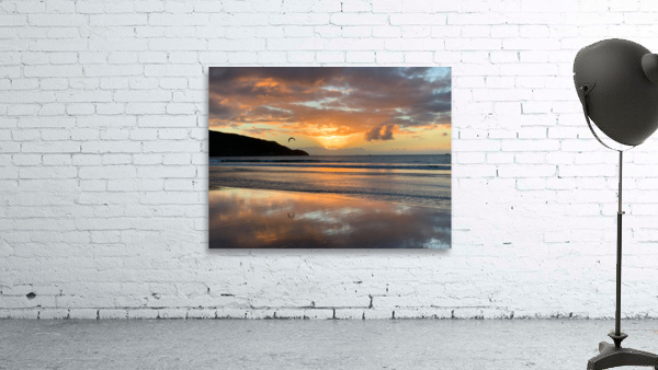 Amazing Sunset with Bird Wall Preview