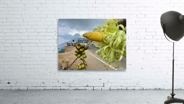 Corn  Coconuts Wall Preview