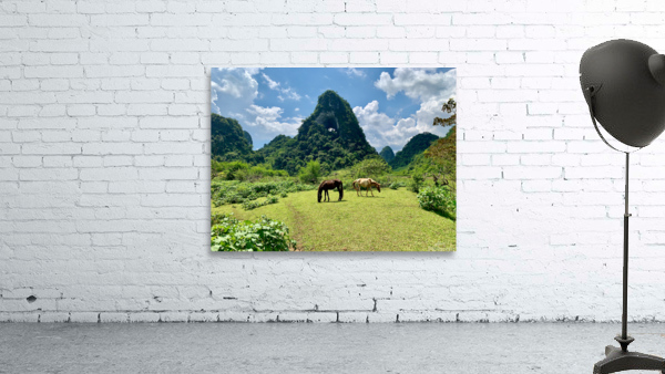 Horses by Angle Eye Mountain Wall Preview