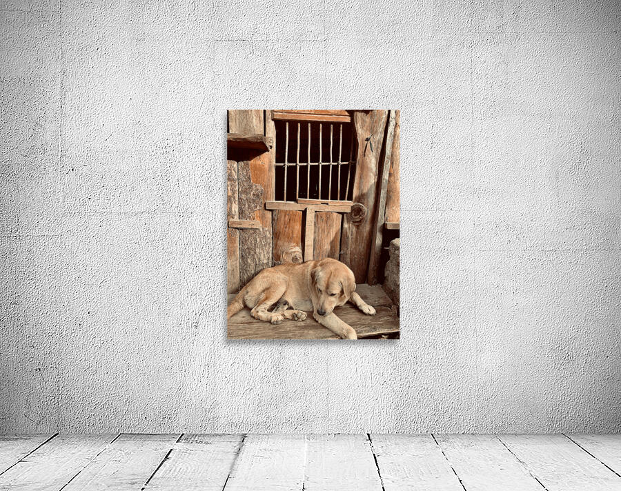 Doggy in Jail Wall Preview