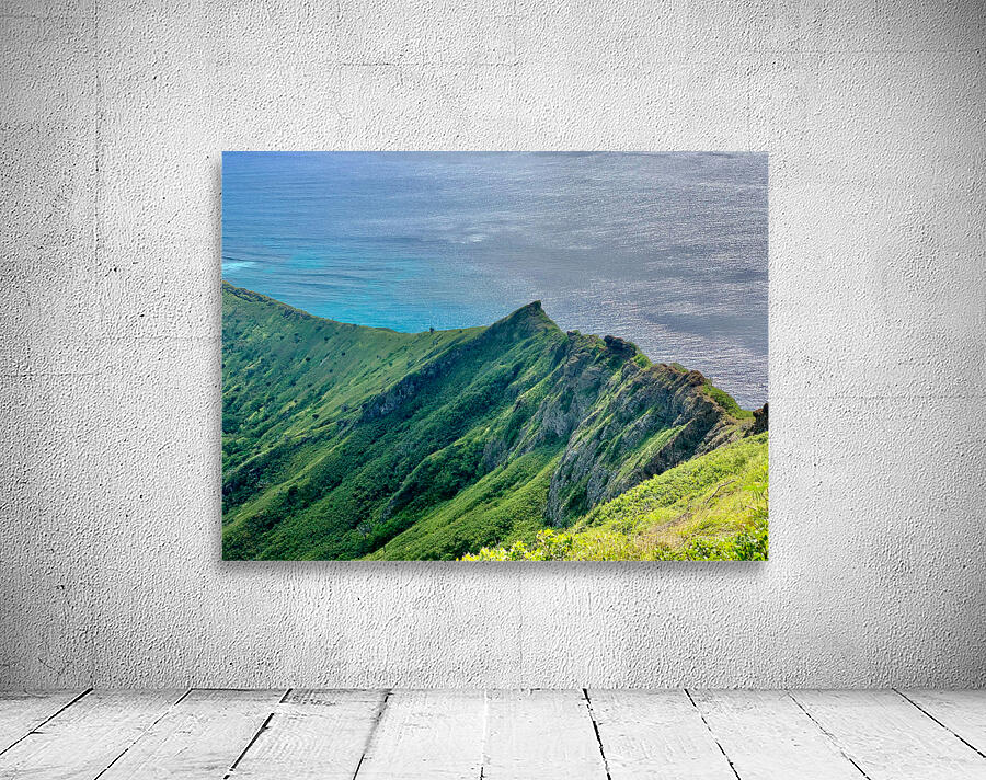 Mountain Peak on the Ocean Wall Preview