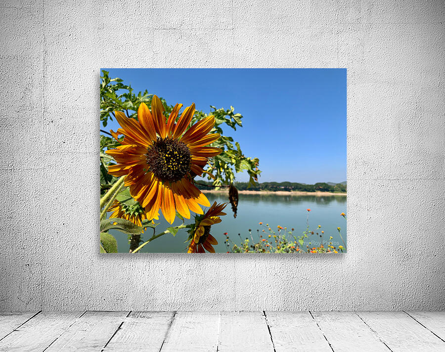 Sunflower View Wall Preview
