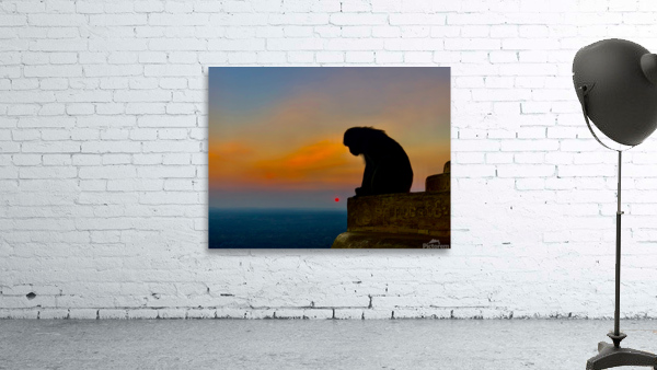Thinking Monkey at Sunset Wall Preview