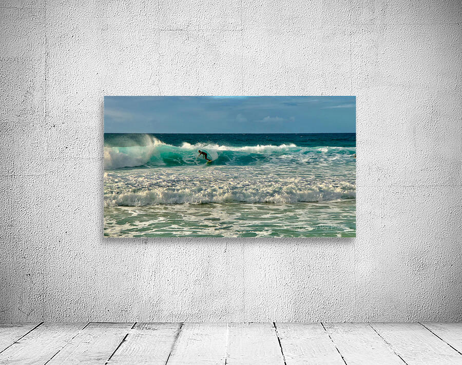 The Surfer Wall Preview