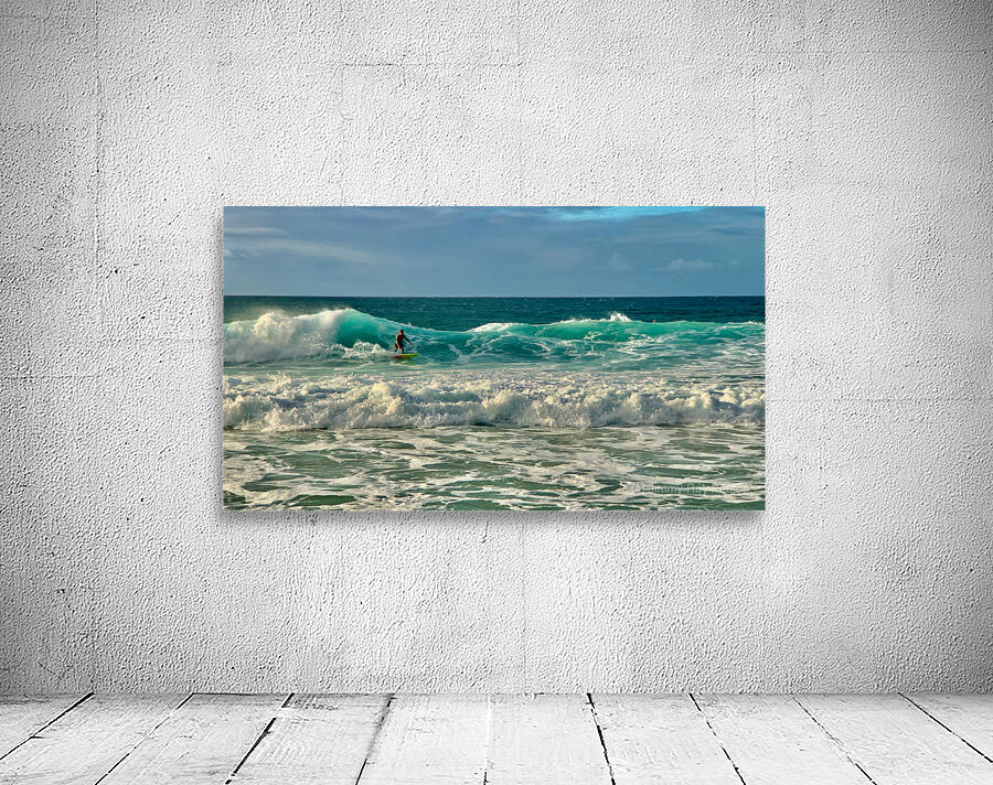 The Surfer 2 Wall Preview