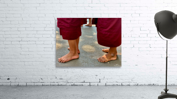 Monks Feet Wall Preview