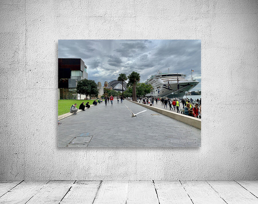 Fly for the Cruise Wall Preview