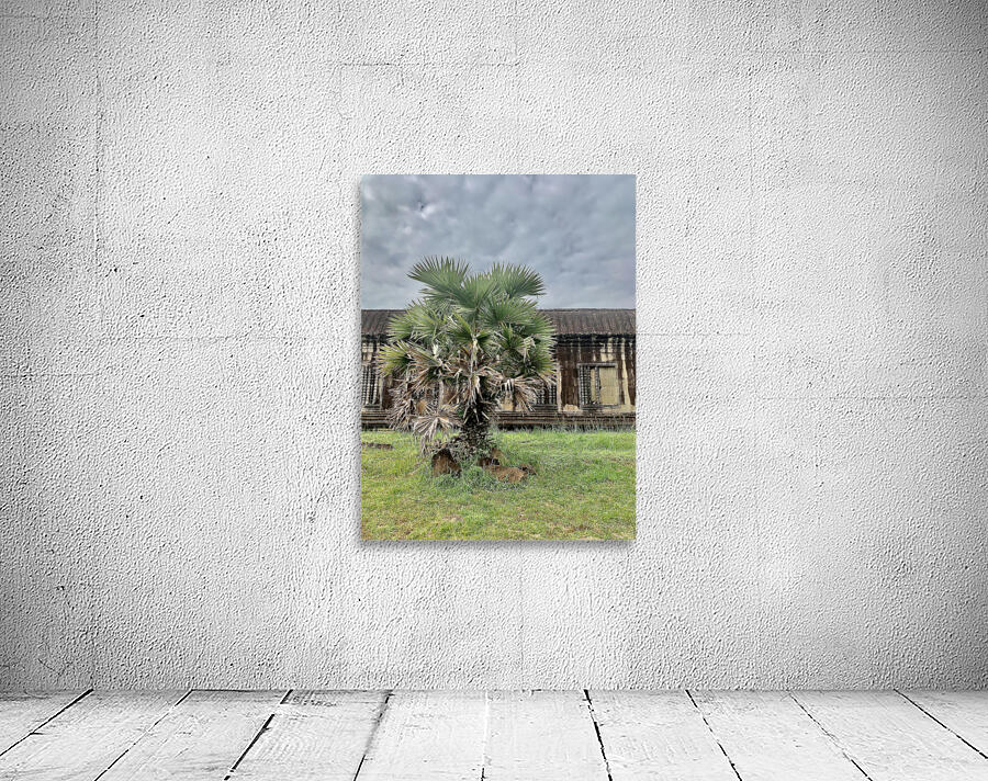 Angkor Wat Temple 16 Wall Preview