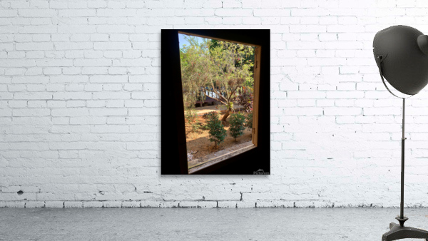 Tree by the Window 2 Wall Preview