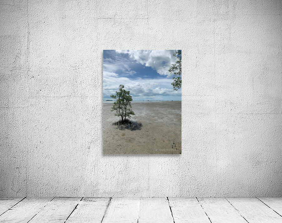 The Tree Wall Preview