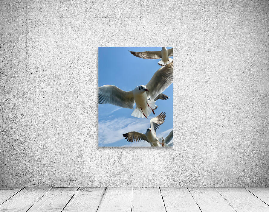 Seagull Look 2 Wall Preview