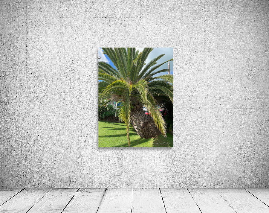 Baby Palm Tree Wall Preview