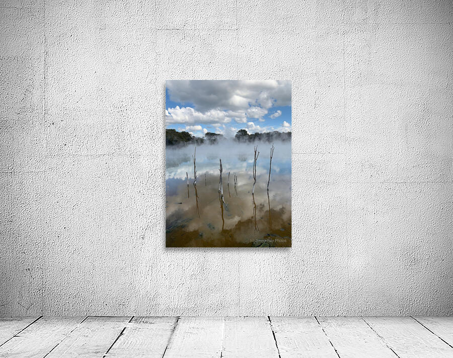 Branches reflections Wall Preview